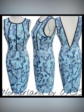 Wonderland by OASIS Blue Snakeskin Print Sleeveless Open Back Dress (8)